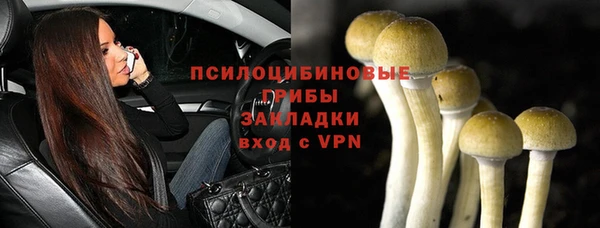 не бодяженный Арсеньев