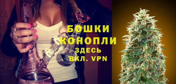 сатива Армянск