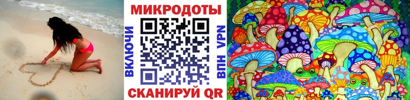 закладки  Новомосковск  Галлюциногенные грибы MAGIC MUSHROOMS 